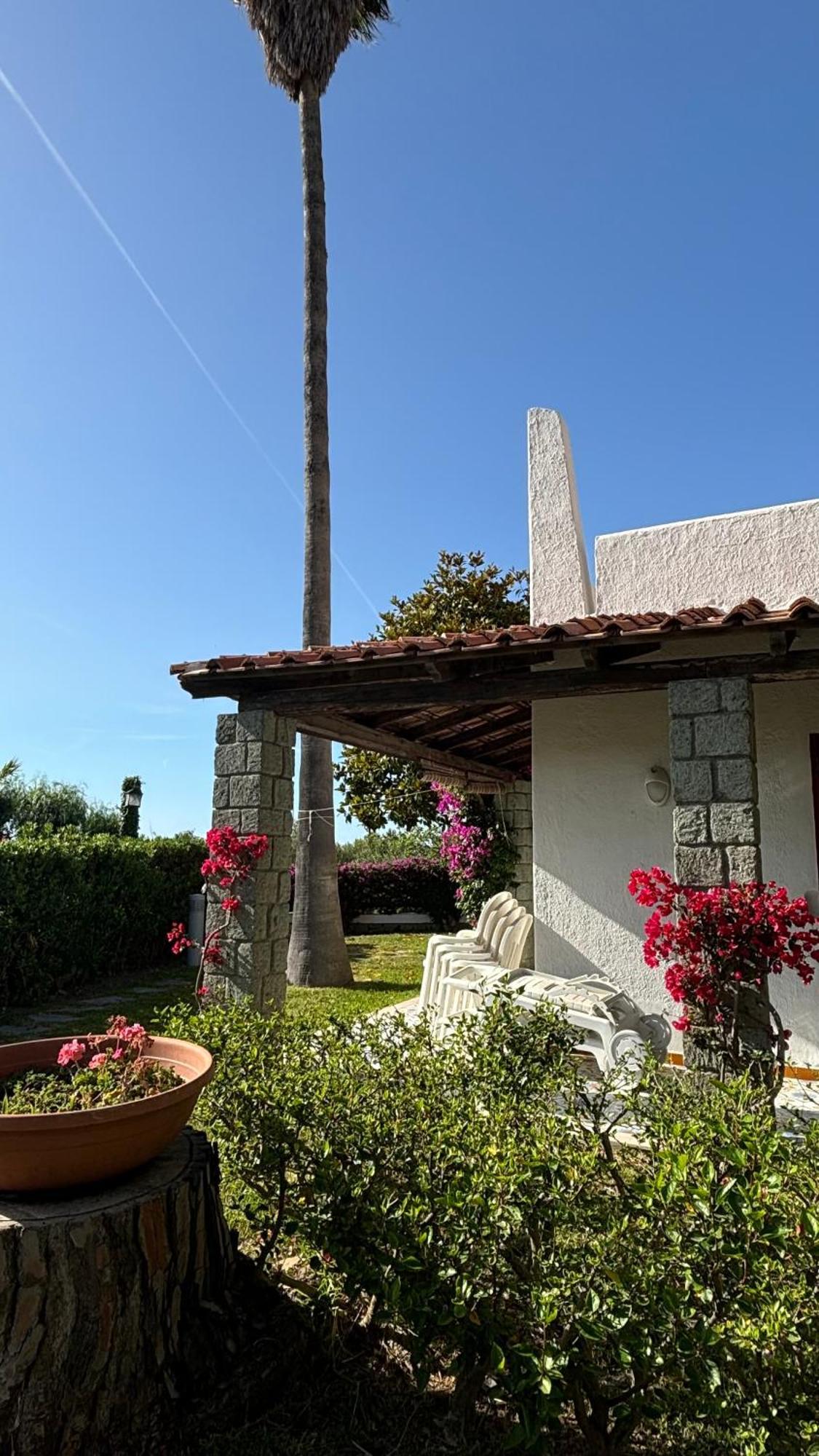 Villa Moma Giardino, Tennis E Piscina Panoramica Ischia Bagian luar foto