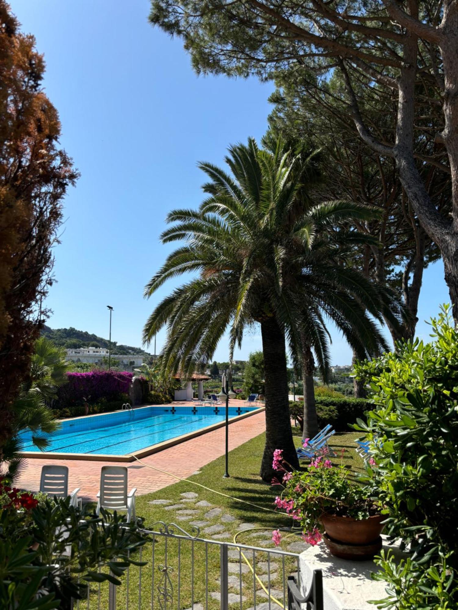 Villa Moma Giardino, Tennis E Piscina Panoramica Ischia Bagian luar foto