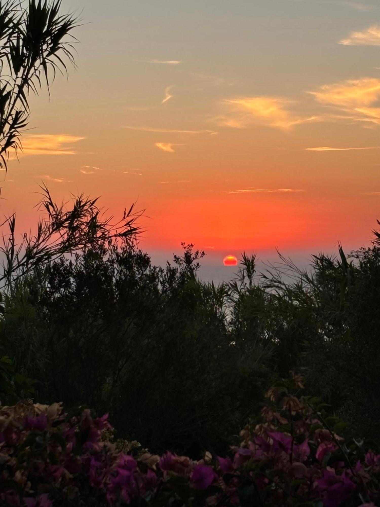 Villa Moma Giardino, Tennis E Piscina Panoramica Ischia Bagian luar foto