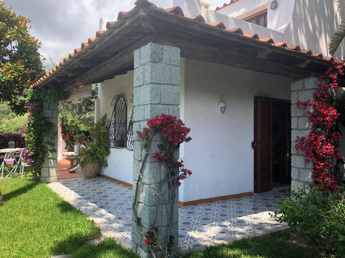 Villa Moma Giardino, Tennis E Piscina Panoramica Ischia Bagian luar foto
