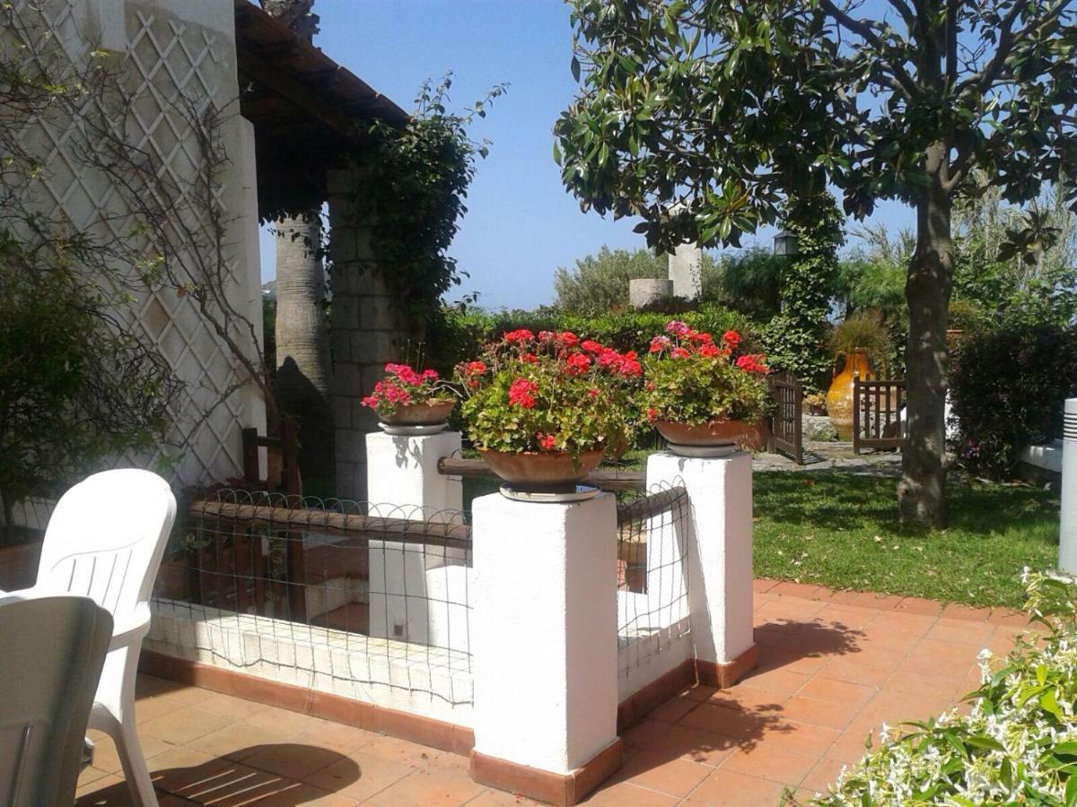 Villa Moma Giardino, Tennis E Piscina Panoramica Ischia Bagian luar foto